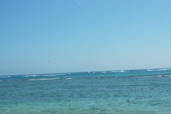 DSC01244