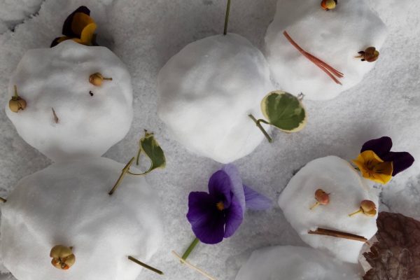 雪とともに暮らす。